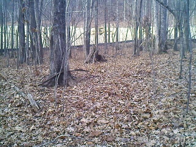 Lot 246 Glen Ridge Trail