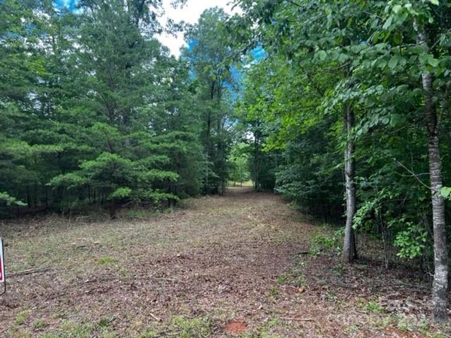 Bring your boat because this peaceful and quite 5.63 acre property has a DEEDED MARINA SLIP at the Lake Adger Marina. This property has a good level building site and is very private being located toward N Park Lane. It is close to the hiking/equestrian trails located in the North Park section of Lake Adger. Enjoy building your mountain and lake home surround by nature with a short drive to your boat docked at the Marina. Lake Adger is a private community located in the Foothills in the Blue Ridge Mountains on a 438 acre lake with a 14 miles of  shoreline. Enjoy the nature along the miles of walking on the Equestrian trails nearby. LAKE ADGER  is conveniently located near Hendersonville, Asheville, Lake Lure and the Tryon Equestrian Center.