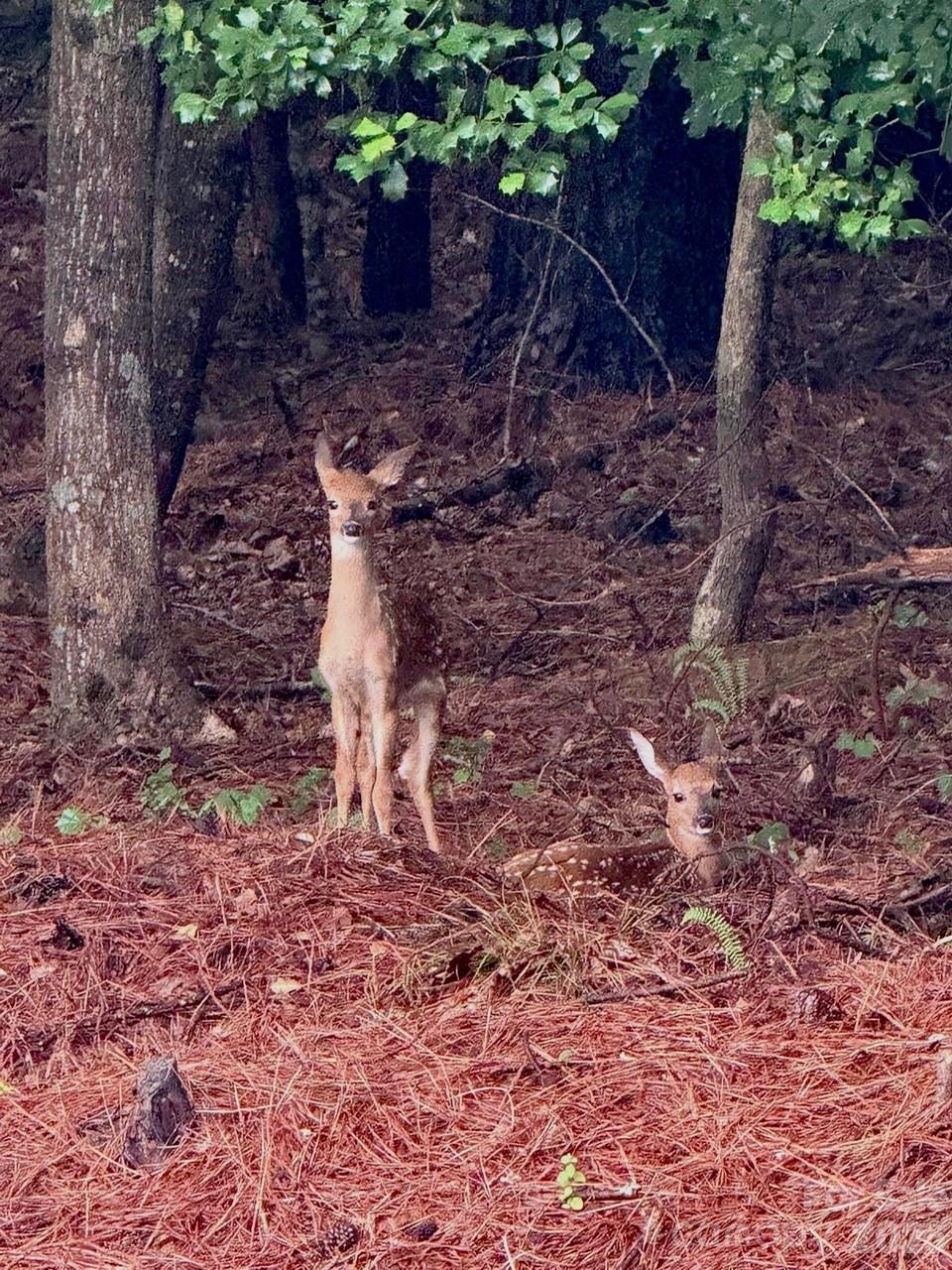 Crystal Falls - Residential