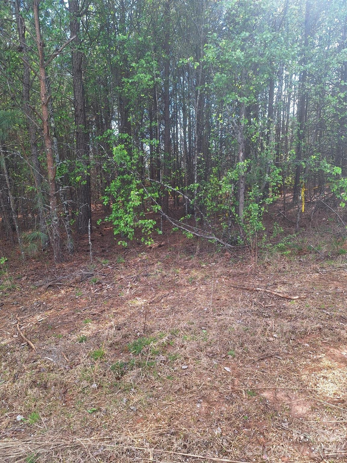 0 King Wilkinson Road 2