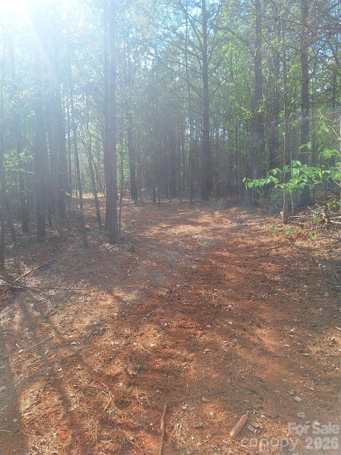 0 King Wilkinson Road 2