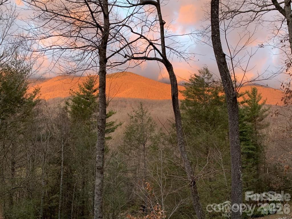 River Run at Mount Mitchell - Residential