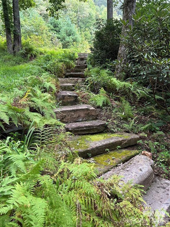 River Run at Mount Mitchell - Residential