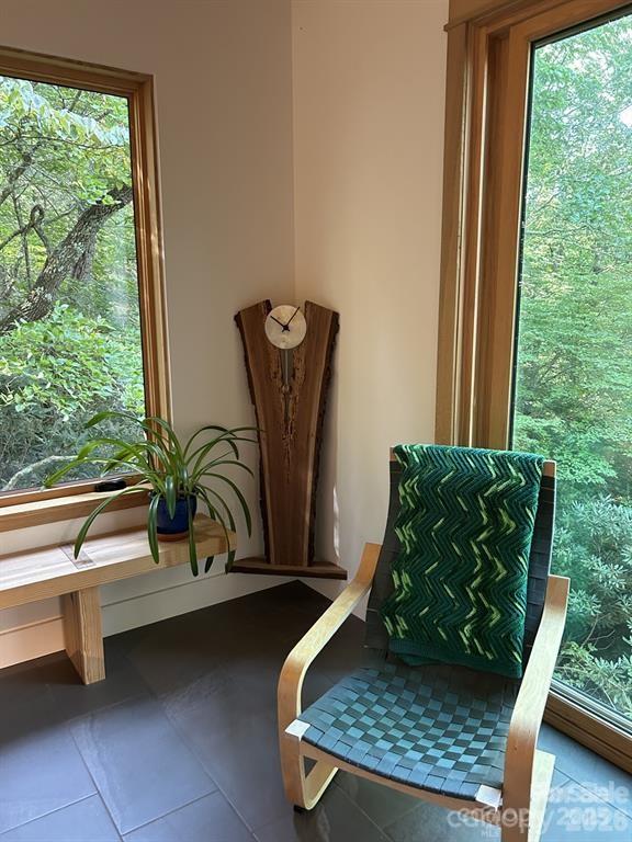 River Run at Mount Mitchell - Residential