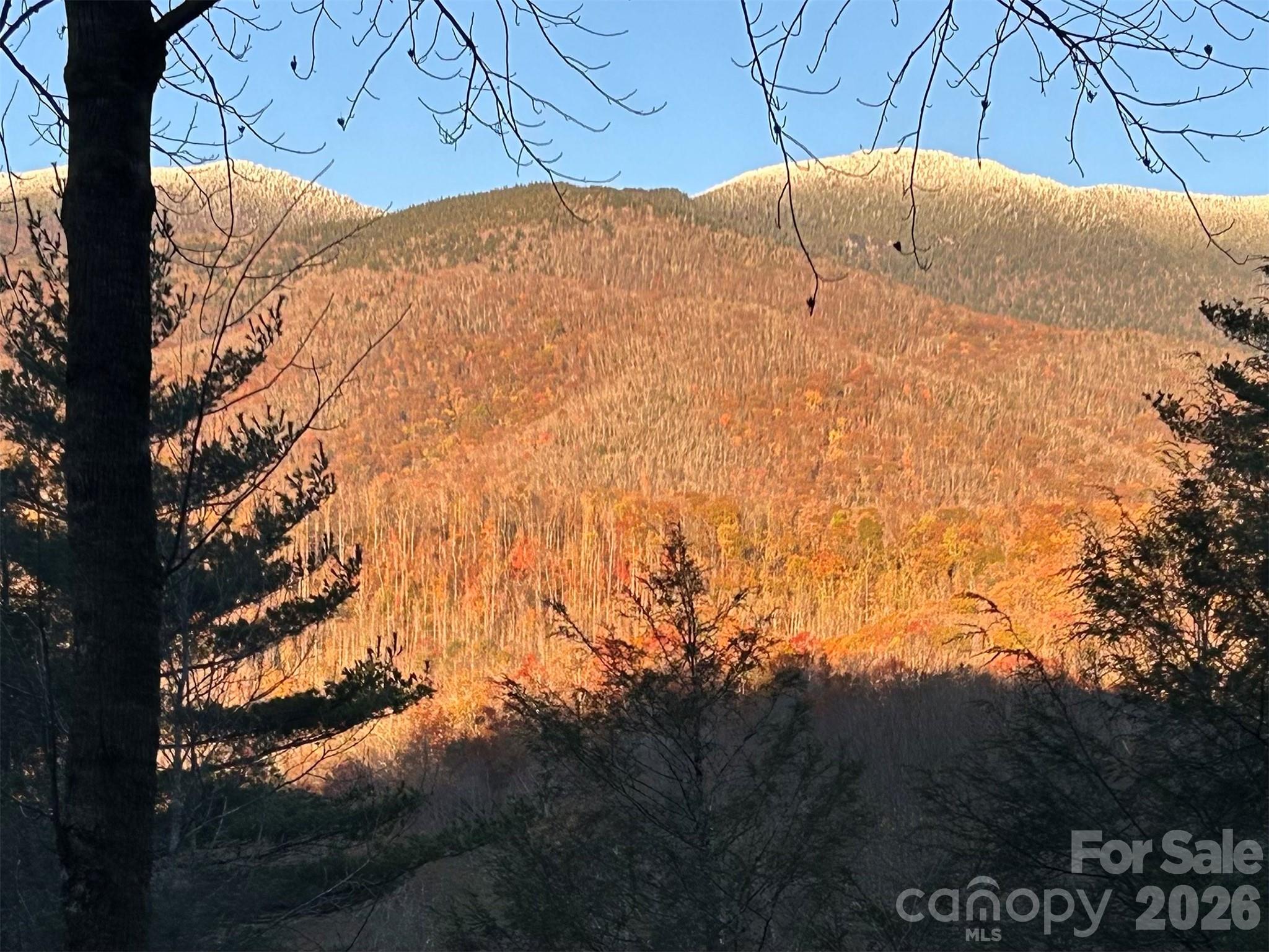 River Run at Mount Mitchell - Residential