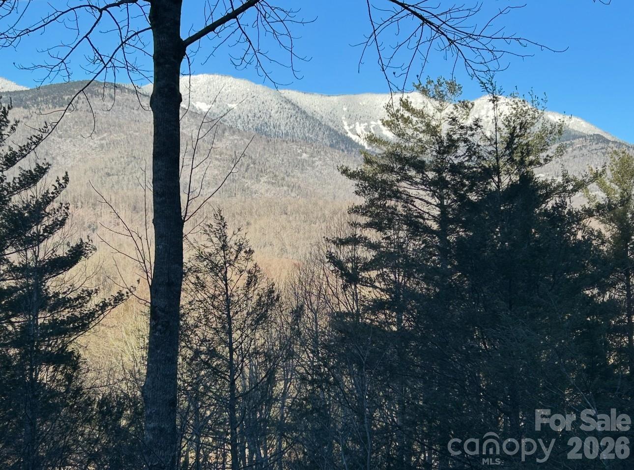 River Run at Mount Mitchell - Residential