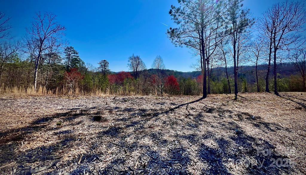 21 Arbor Creek Trail 21