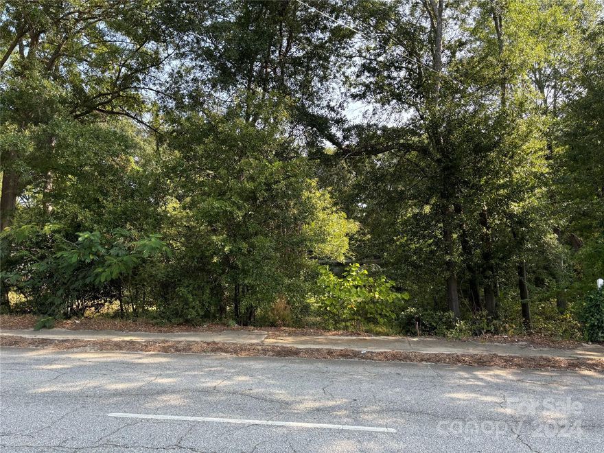 Great opportunity to own a flat lot conveniently located minutes from town.  Currently an Unincorporated lot, development regulations will depend on the proposed use of the land.  Seller has a current survey of the lot. Backs up to tracks.  Owner Financing is an option with acceptable offer.  Call today to schedule a showing.