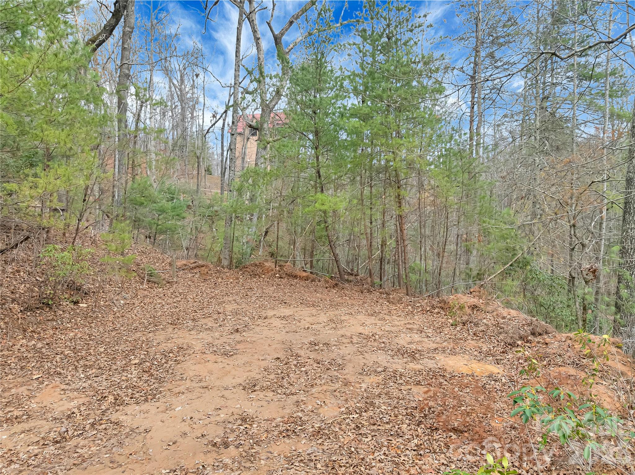 TBD Deep Woods Lane 102
