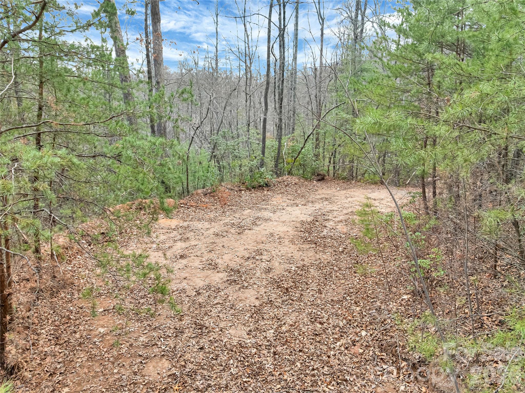 TBD Deep Woods Lane 102