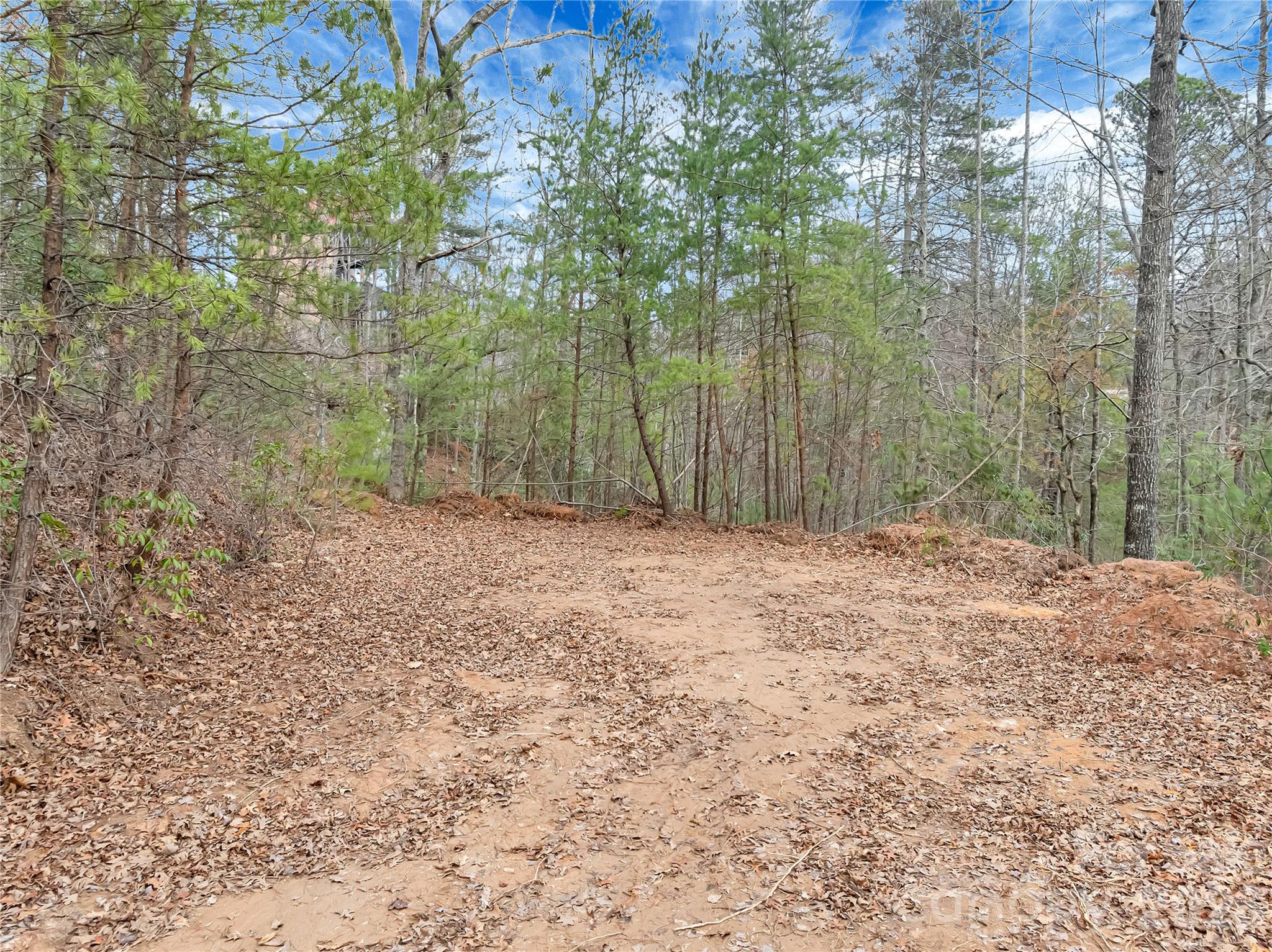 TBD Deep Woods Lane 102