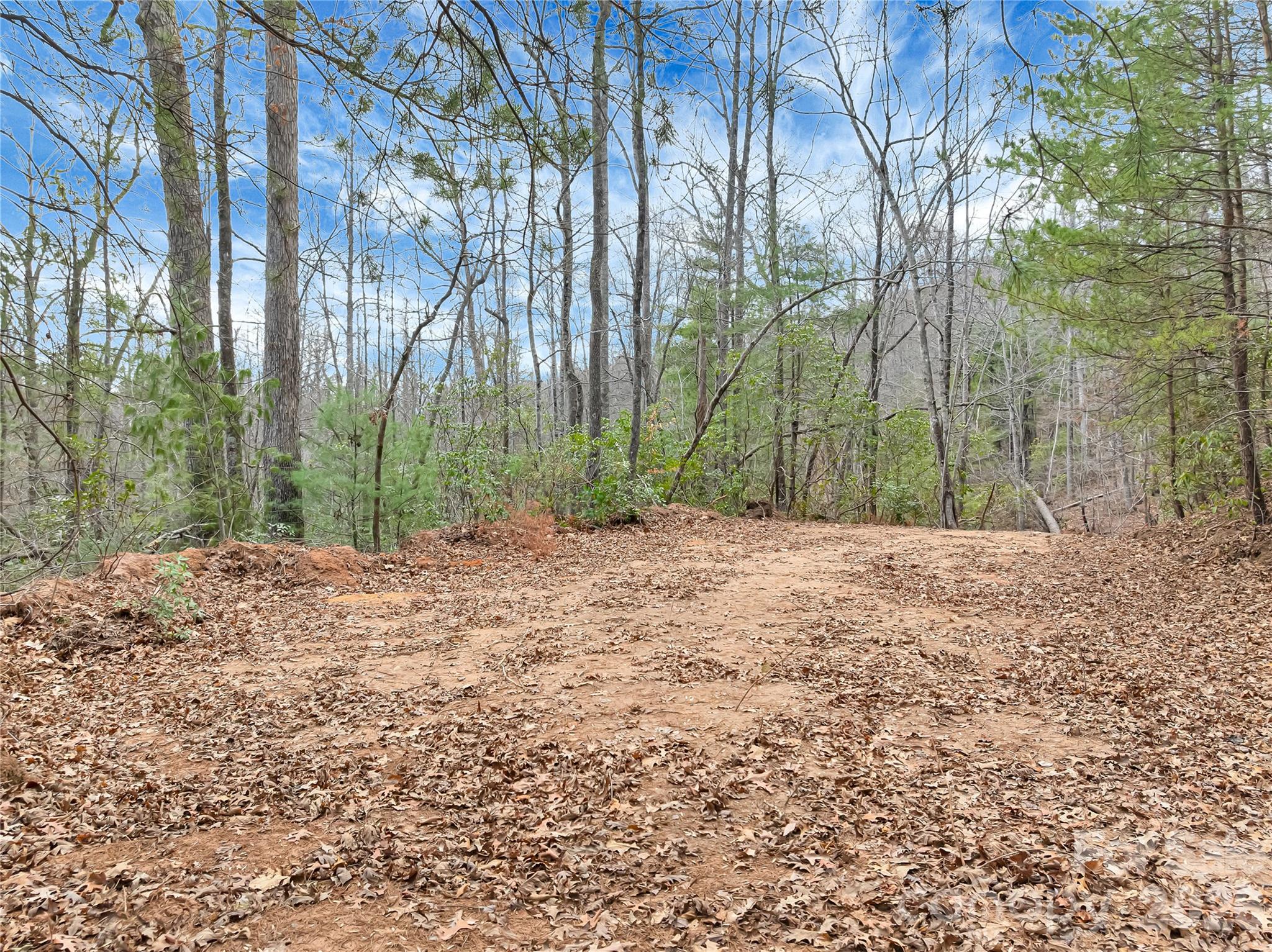 TBD Deep Woods Lane 102