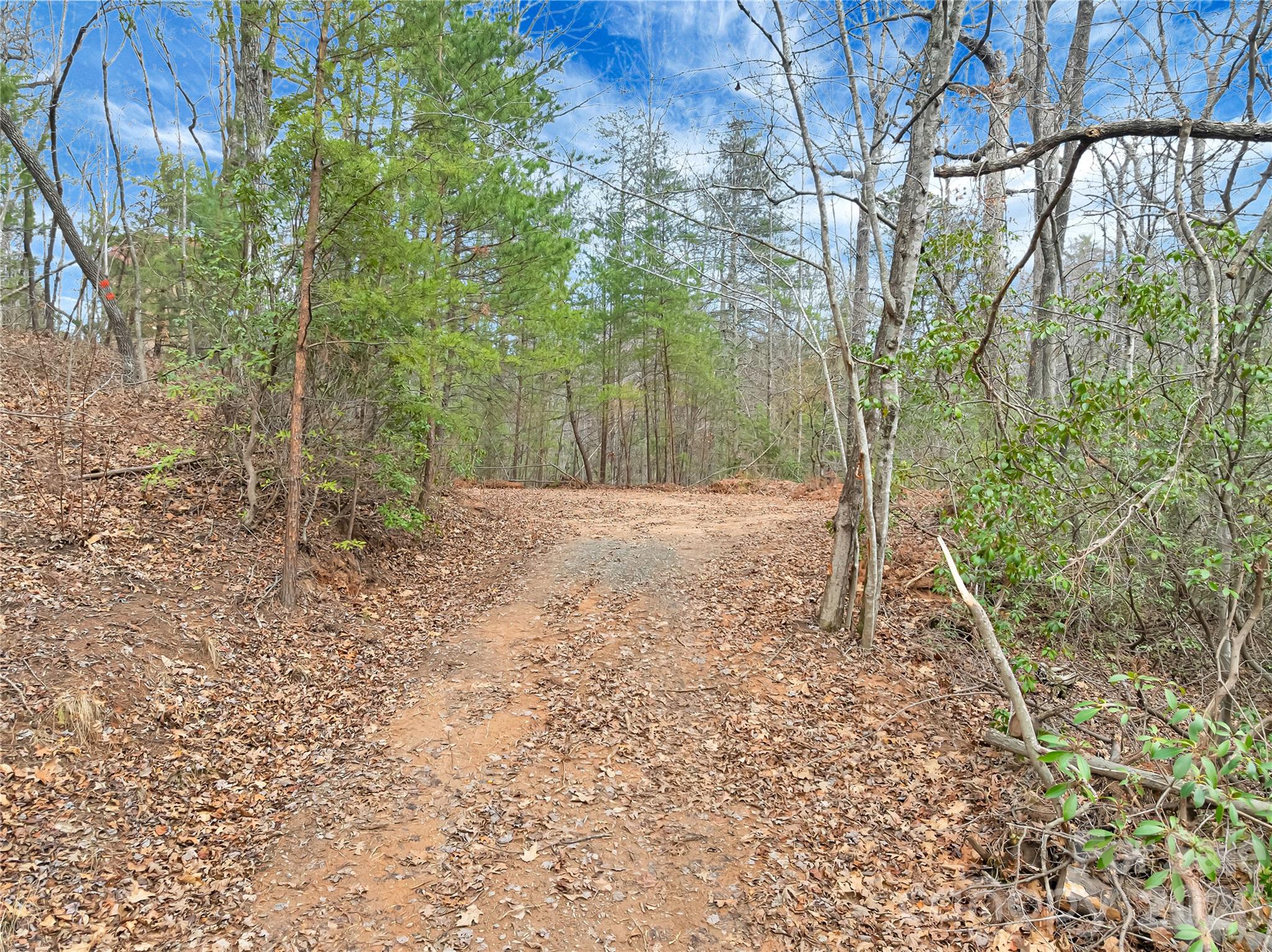 TBD Deep Woods Lane Unit 102, Saluda, NC, 28773