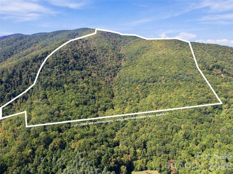Photo of 00 Orion Davis Road, Waynesville, NC 28786 (MLS # 4434526)