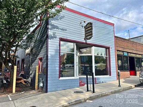 81 Coxe Avenue Asheville NC 28801