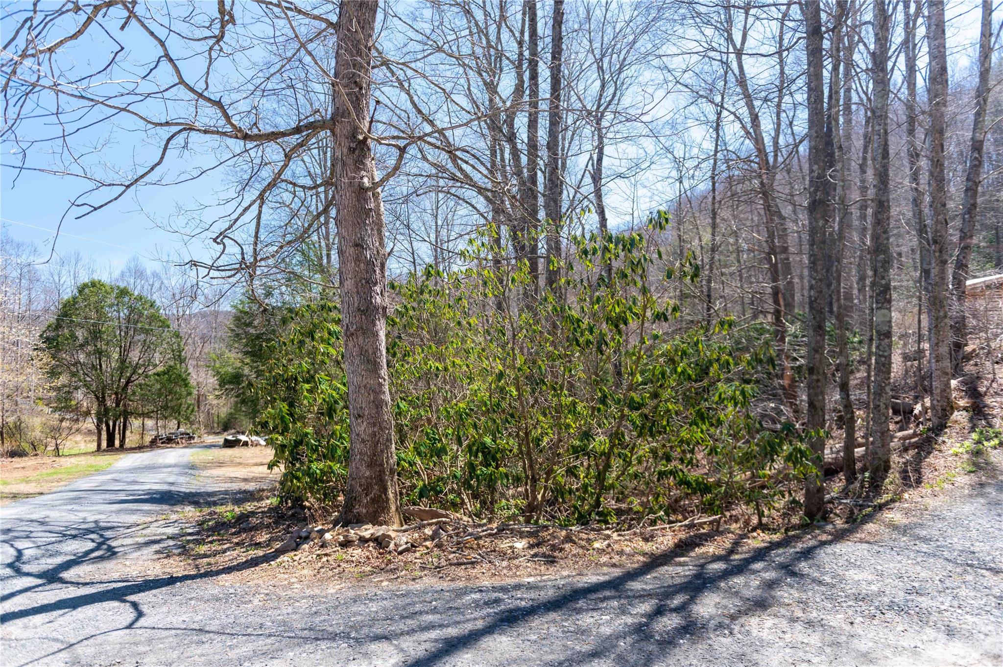 99 Banjo Branch Road