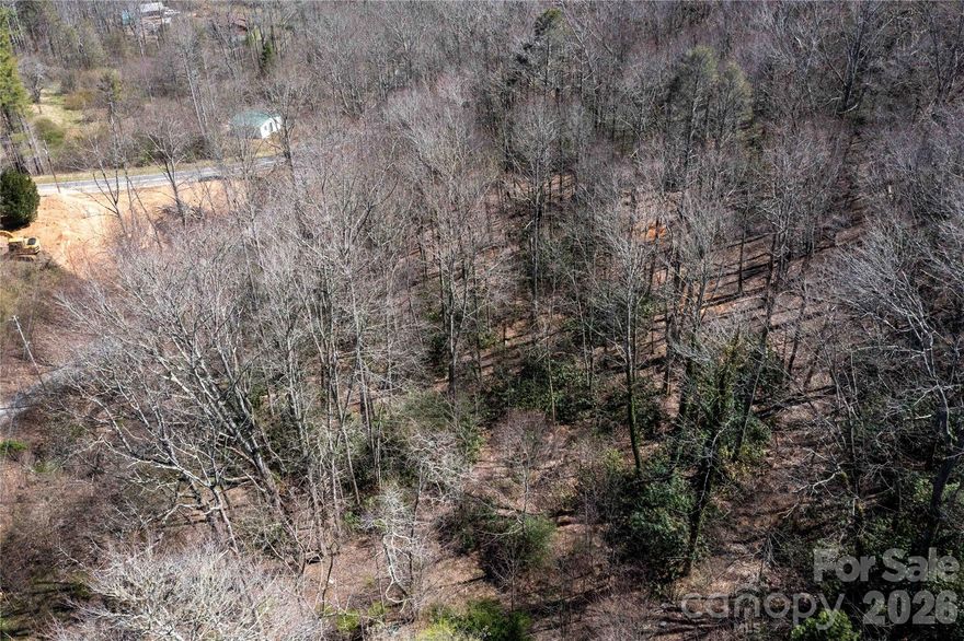 Sold significantly below tax value!  This four acre parcel of level land is nestled in a peaceful, secluded area, offering the perfect balance of privacy and natural beauty. The property is beautifully wooded with mature trees, providing plenty of shade and a sense of serenity. Multiple small streams wind their way through the land, their gentle trickling creating a soothing atmosphere.  Recently approved for a two bedroom septic.  This land has been home to generations, with remnants of past residences still visible in the landscape, offering a glimpse into the history of the property. You can still spot the wildflowers that have bloomed year after year, along with the vibrant remnants of gardens once tended by those who called this land home. The bushes and flowers from previous residents continue to flourish in the soil, adding splashes of color to the natural surroundings, and the wild ramps give things a bit more flavor! Just a short distance from National Park land, this property combines the tranquility of rural living with the convenience of access to protected natural spaces, making it an ideal place for those seeking peace and a connection to the land.  Whether you envision building a quiet retreat or simply want to enjoy the beauty of nature, this property offers an excellent opportunity to have your own place of respite in an incredibly serene and picturesque setting.    Centrally located with Burnsville and Spruce Pine a few minutes away, and Asheville/Blowing Rock/Boone around an hour away.