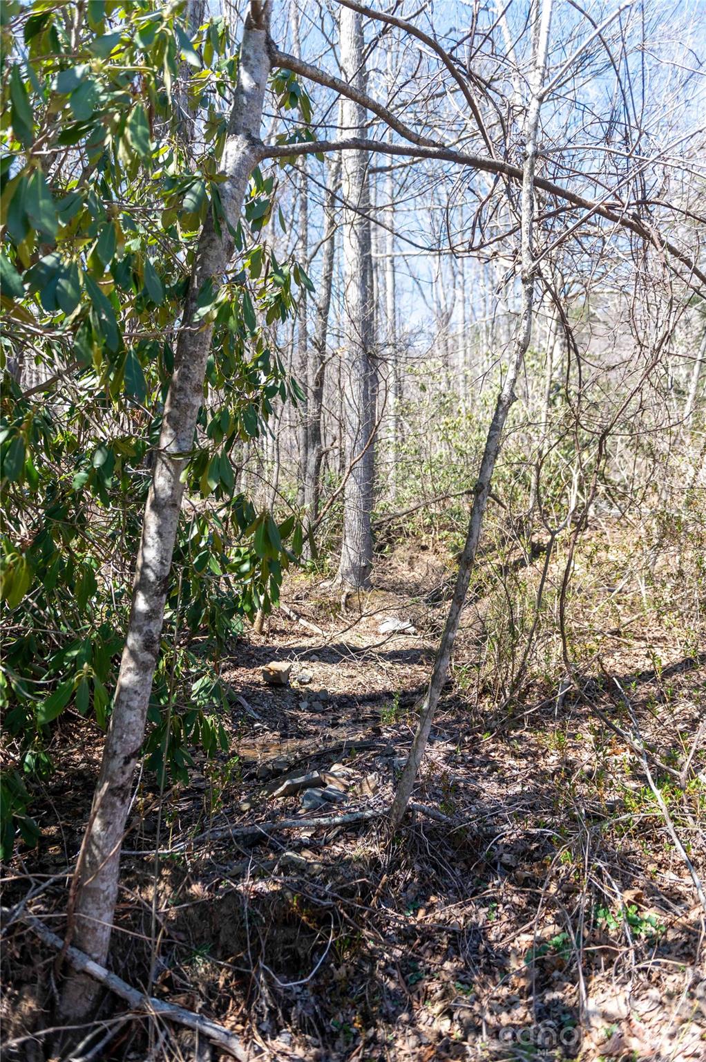 99 Banjo Branch Road