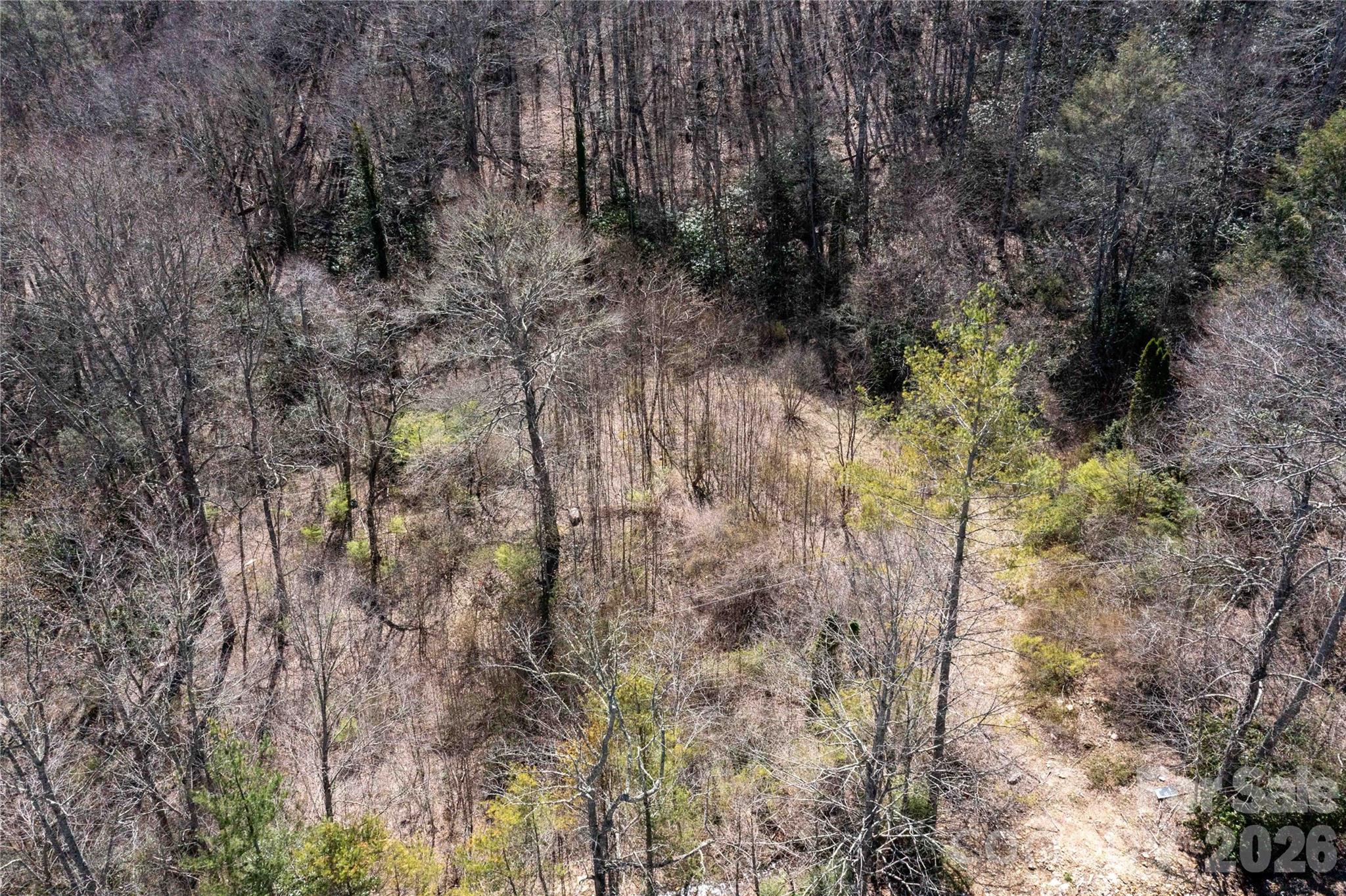 99 Banjo Branch Road