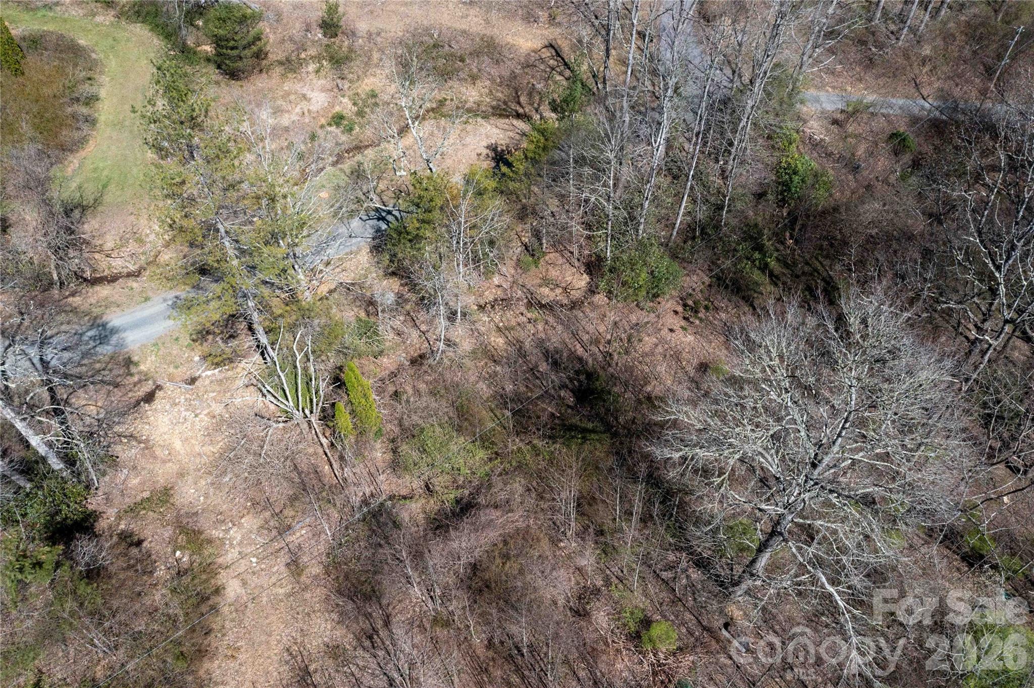 99 Banjo Branch Road