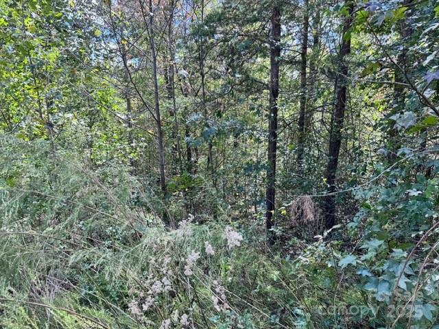 The Peninsula at Lake James - Land