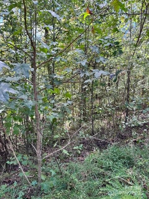 The Peninsula at Lake James - Land