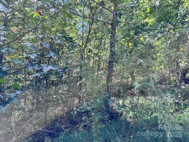 The Peninsula at Lake James - Land