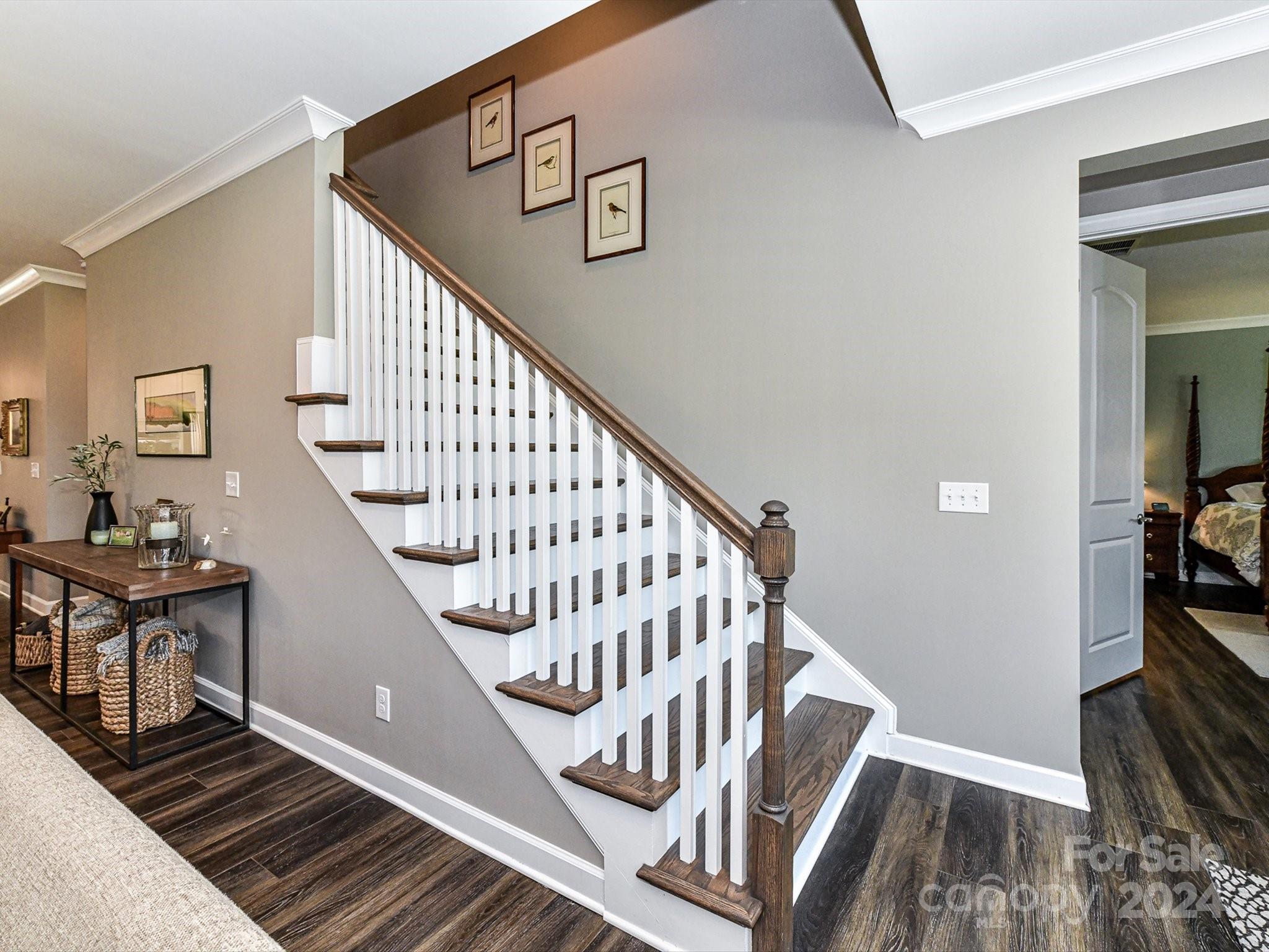 Cadence - Residential