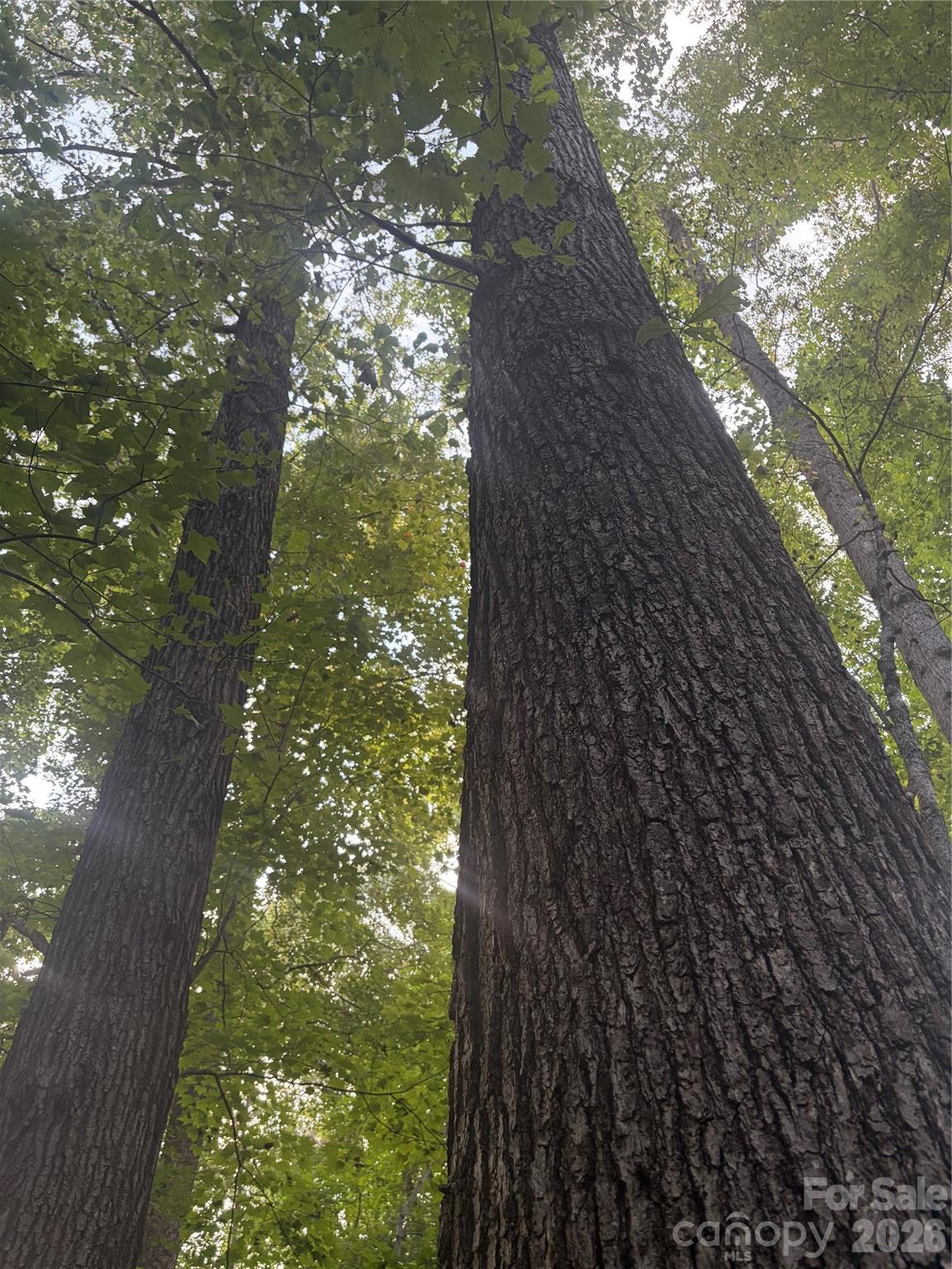 Lot 3 Edgewood Road