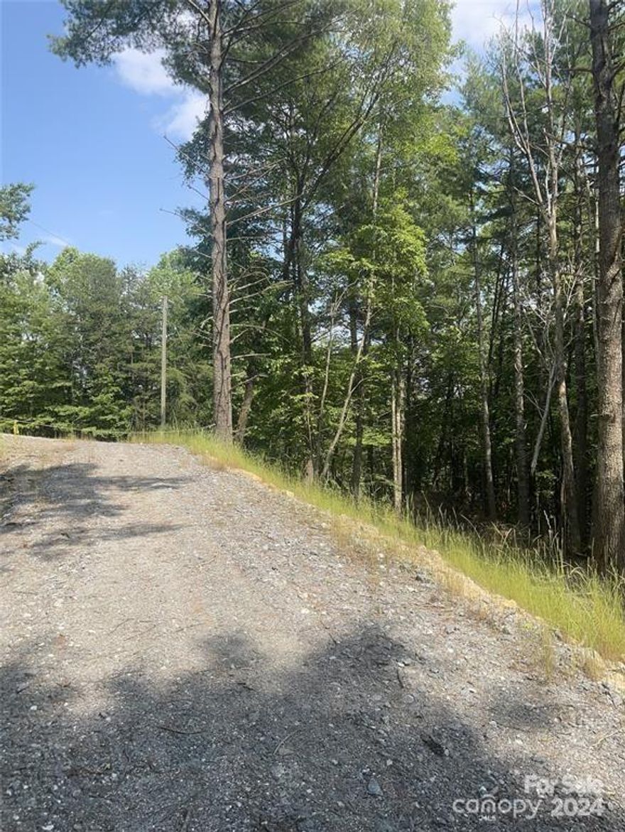 First stop at the filling station where you can taste their woodfired pizza on your way to this parcel located in the NC Mountains. Enjoy the peacefulness with wildlife surrounding you once you arrive. You can drive down the already graveled driveway as you park to walk and explore what this land can offer you, your investors, or your family/friends. Already approved for a 5-bedroom septic tank, so you don’t have to go through the process of a perc test. You can build a private and vibrant 3-bedroom home in the center of the lot while also building a 2-bedroom little house with an open floor plan to allow additional living quarters. You could rent one property out as a short-term rental or both to bring in additional income. Whether you are wanting to start an Airbnb for short term rentals, an investment property, a personal getaway, or a primary residence your options are truly endless with this perfectly located piece of land that allows for a 5-bedroom build.