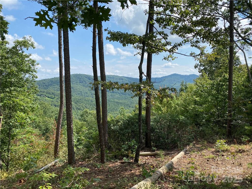 61 Scenic Vista Drive 238