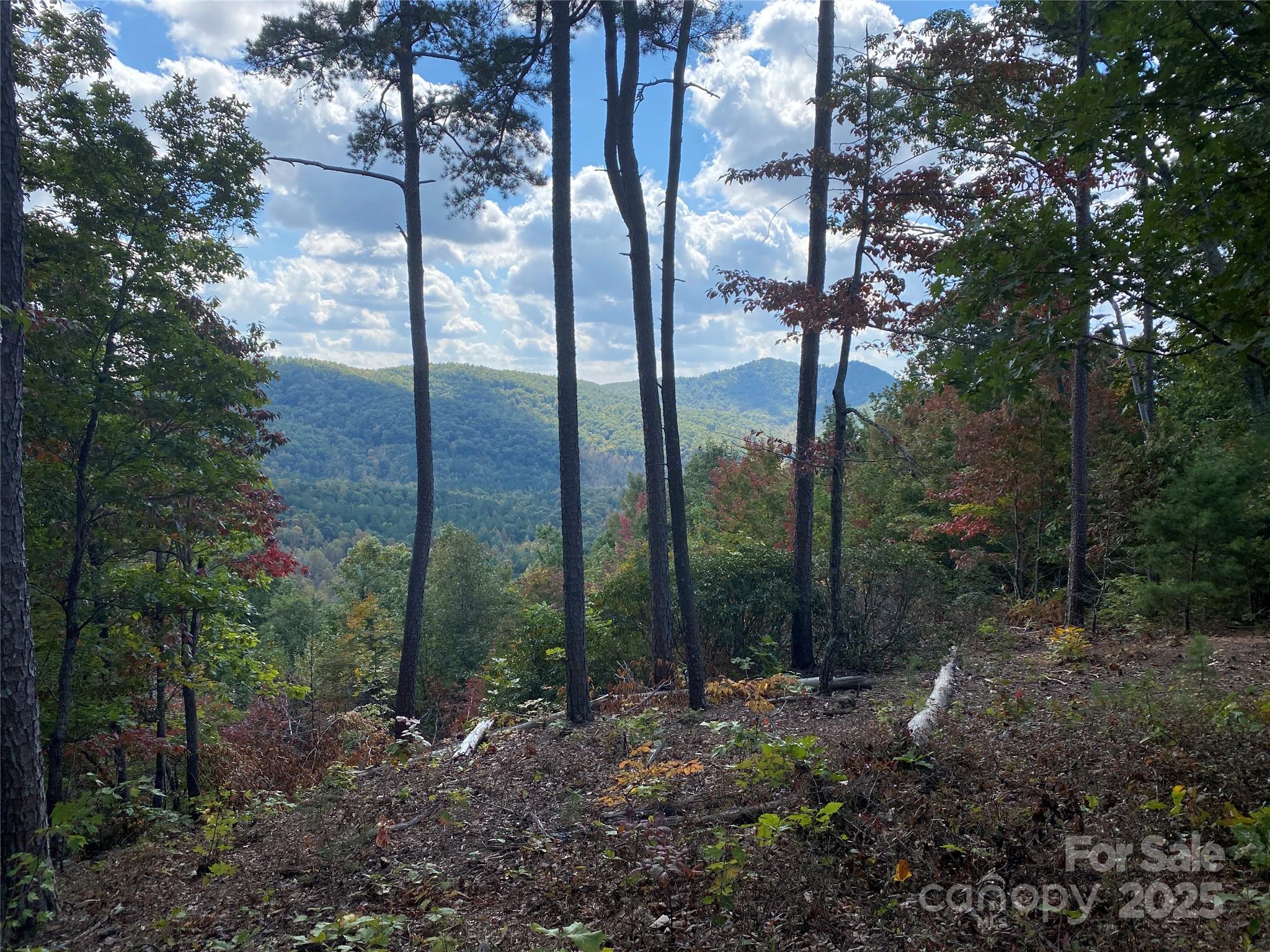 61 Scenic Vista Drive 238