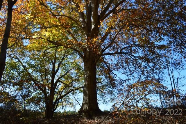 Greenspace of Fairview - Land