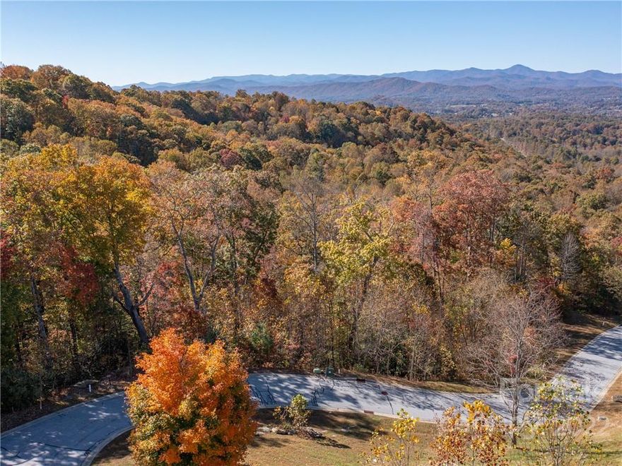 One of the best view lots in the desirable gated community Carriage Park! The layered mountain views go for miles here on this western facing parcel. This lot directly borders many acres of HOA land that may be utilized for hiking, exploring, privacy and tranquility and also has city water and sewer.  Shopping, restaurants and medical facilities are located nearby in Hendersonville. Reach out to listing agent to schedule a private tour!