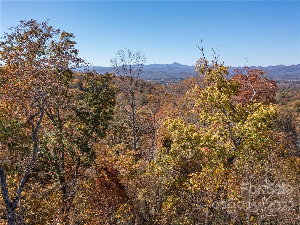 Carriage Park - Land