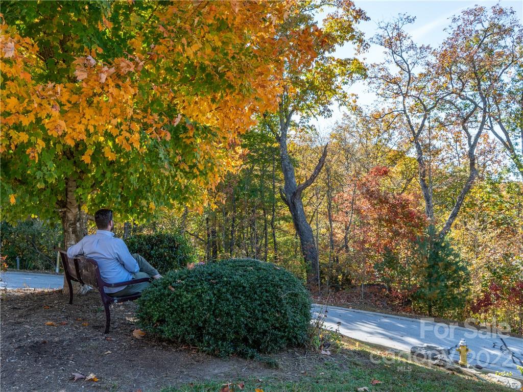 Carriage Park - Land