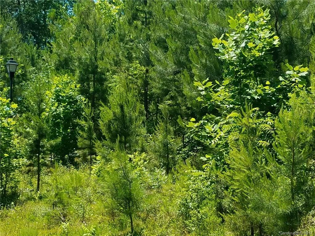 Beatties Glen Estates - Land