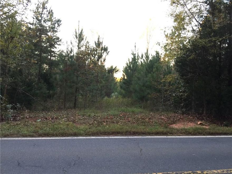 Beautiful tract of land. Located on Hwy 49. Can be combined with MLS#3123389 or divided.  Great for buyers in search of land with lots of privacy.