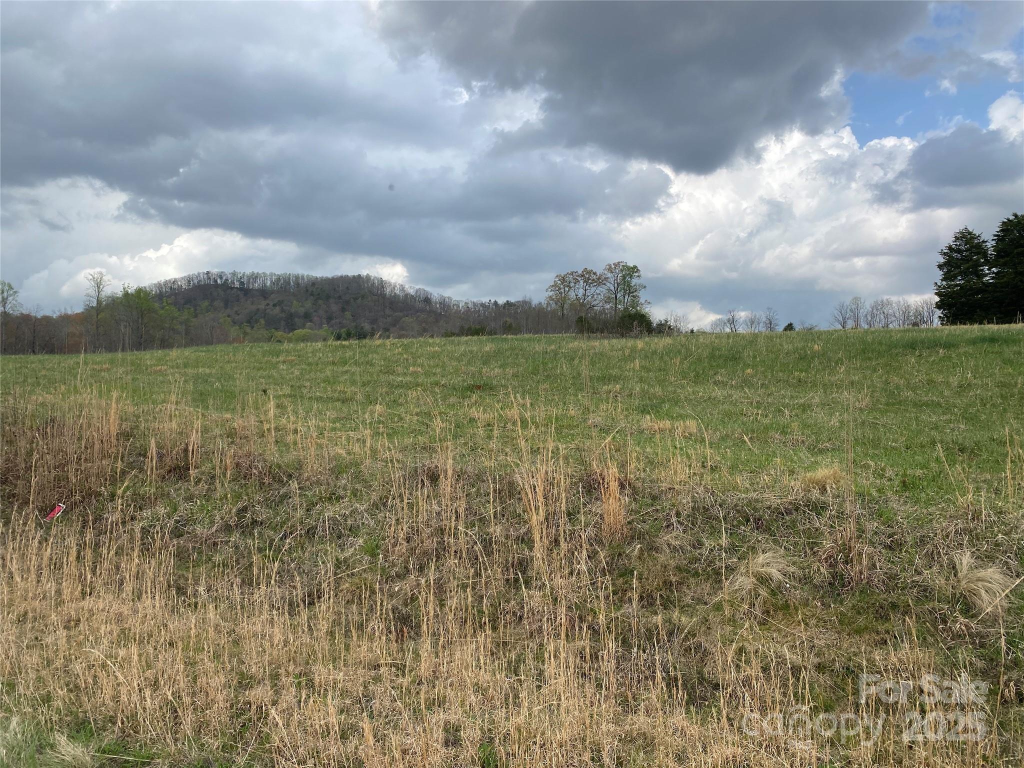 0 Cane Creek Mountain Road