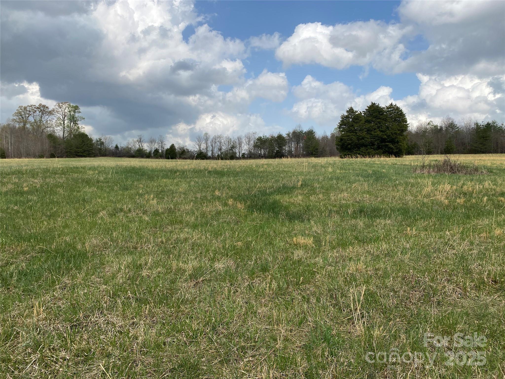 0 Cane Creek Mountain Road