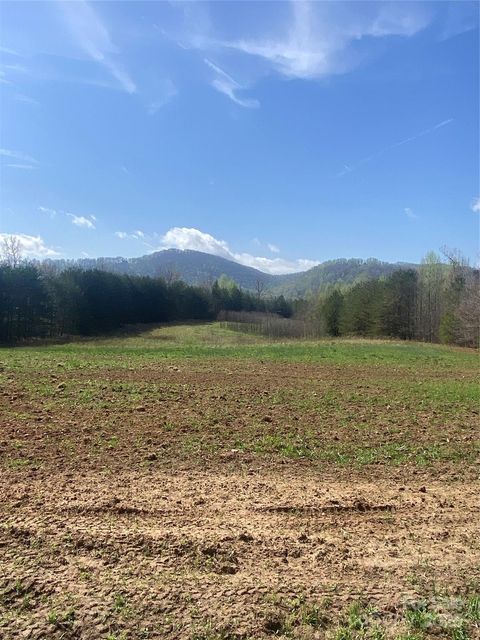 0 Cane Creek Mountain Road Bostic NC 28018