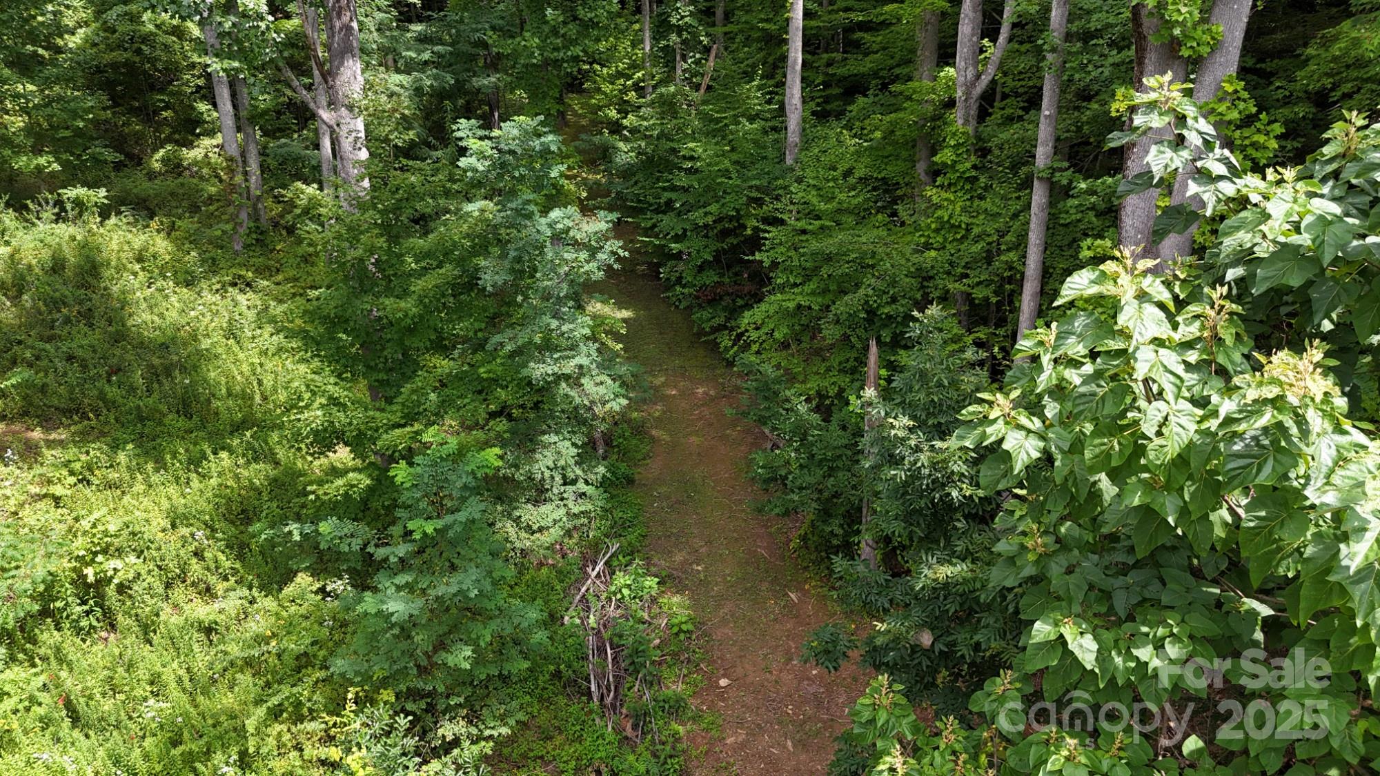 Mountain Watch - Land