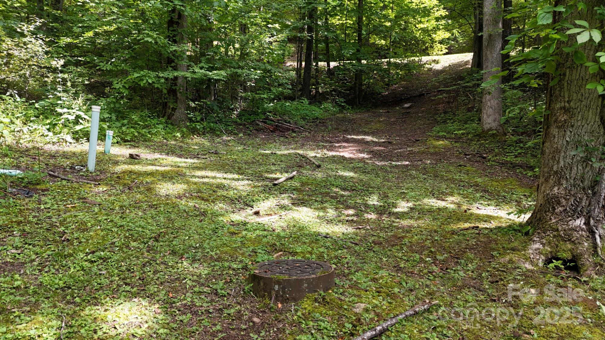 Mountain Watch - Land