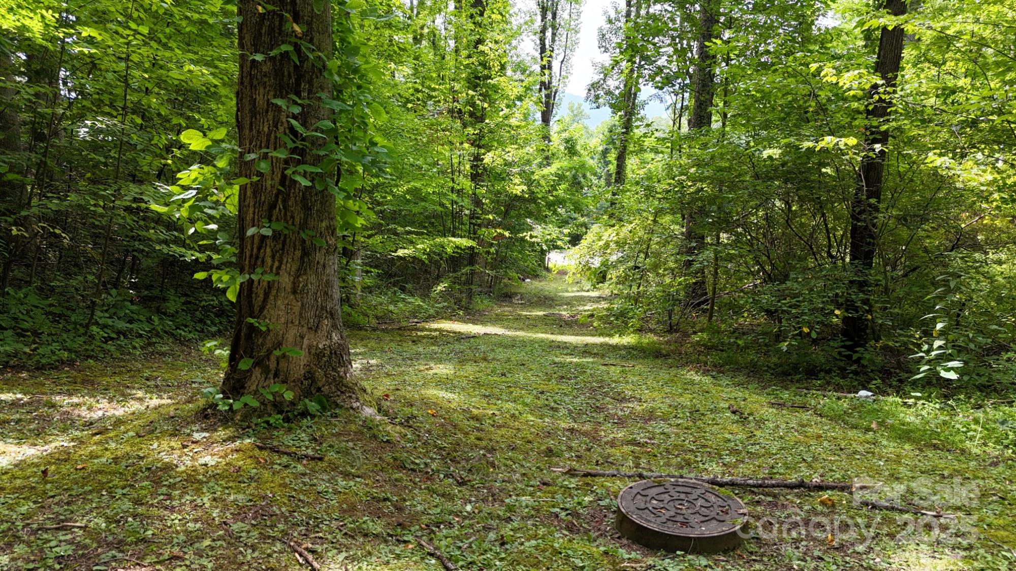 Mountain Watch - Land