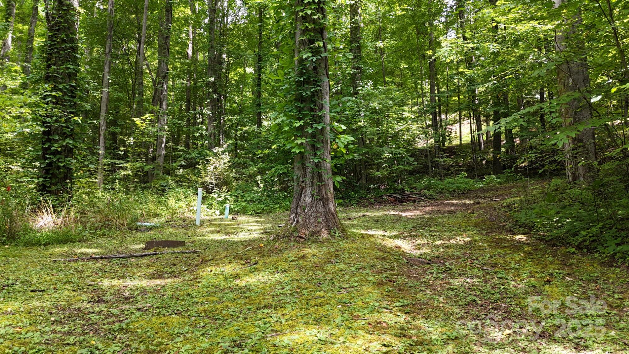 Mountain Watch - Land