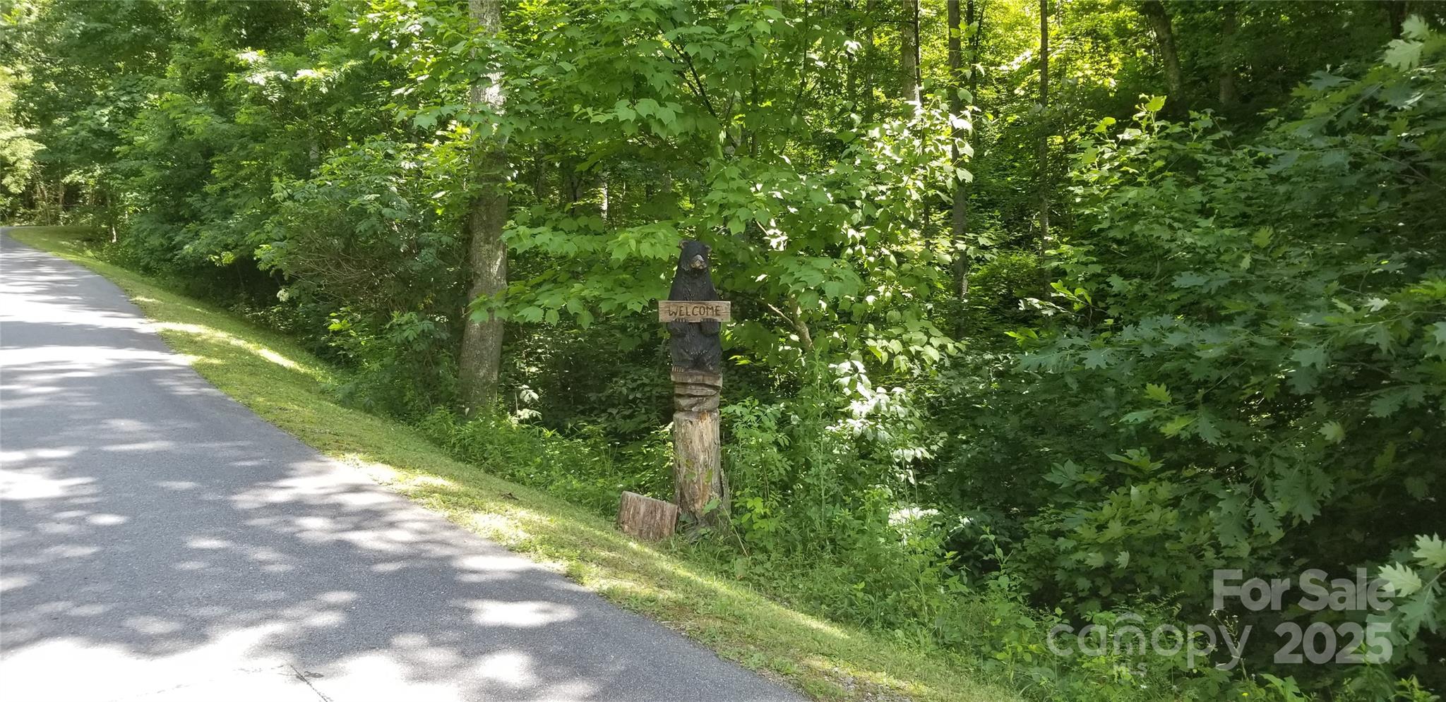 Mountain Watch - Land