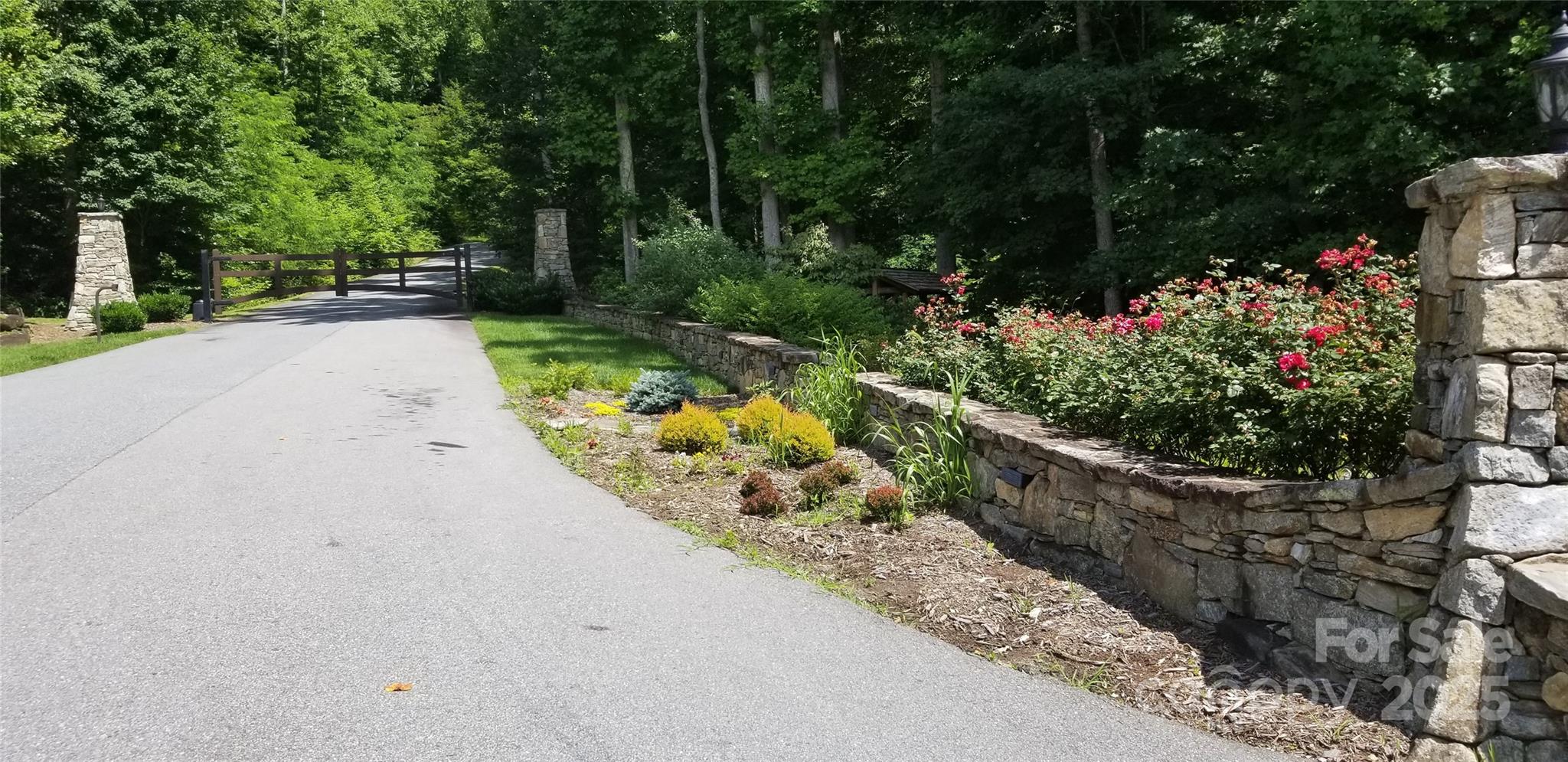 Mountain Watch - Land