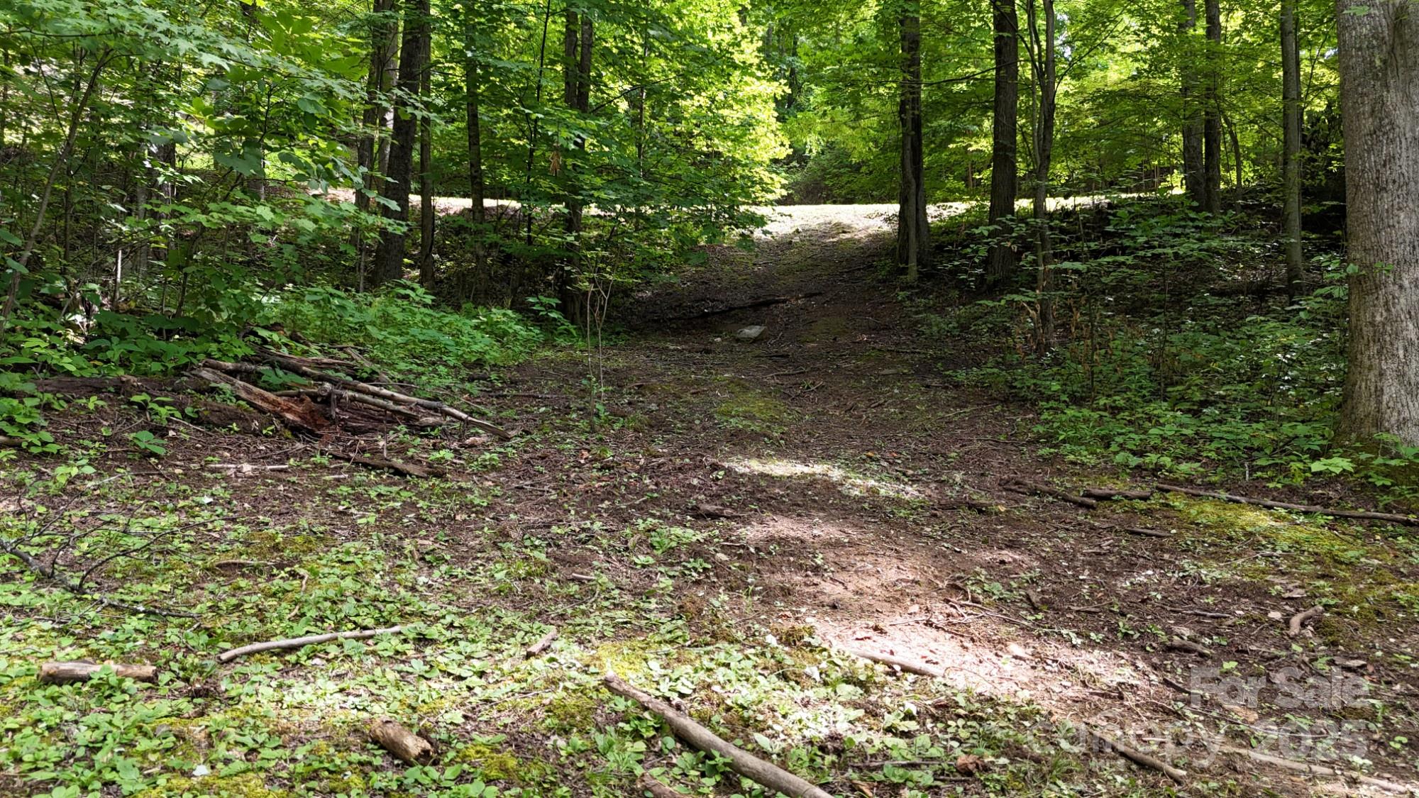 Lot 12 Roselyn Park Drive