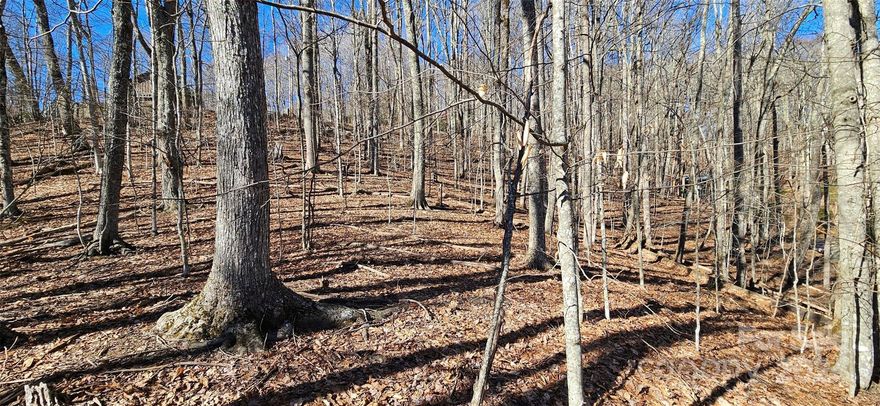 Beautiful wooded homesite in premier, amenitized / golf community. This homesite offers wooded, privacy and truly provides that "mountain living energy" while all the "bells and whistles of a club community environment are just moments away! While the site is sloped and may incur some additional cost towards foundation; the site is fantastically priced to make up that. This site could be a nice investment property for a small spec home as well. A perfect blank slate for a creative spirit!