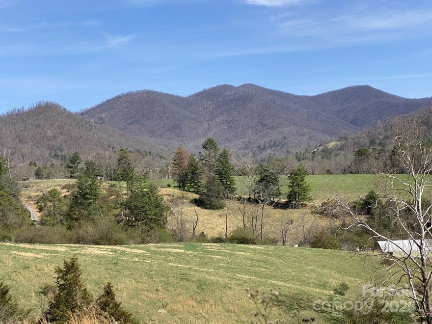 This beautiful 7.53 acre property located in the heart of Reems Creek valley is just minutes away from downtown Weaverville and 15 minutes from downtown Asheville. The property offers stunning long range mountain views, acres of majestic forest and a beautiful, peaceful creek. The gently sloping land culminates with arguably the best view of the Craggy mountains in Reems Creek valley. The property is steps away from Reems Creek golf course and club house. A property like this rarely comes on the market and offers a one-of-a-kind opportunity to build your dream home.  Seller is willing to divide property into smaller parcels